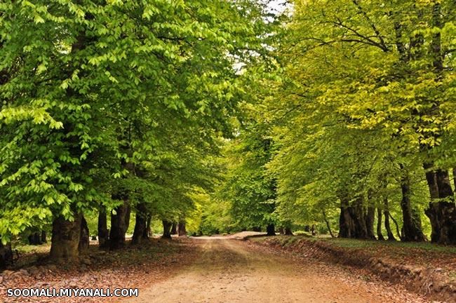 آشنایی با دهکده زیبای مازیچال در کلاردشت !+ تصاویر