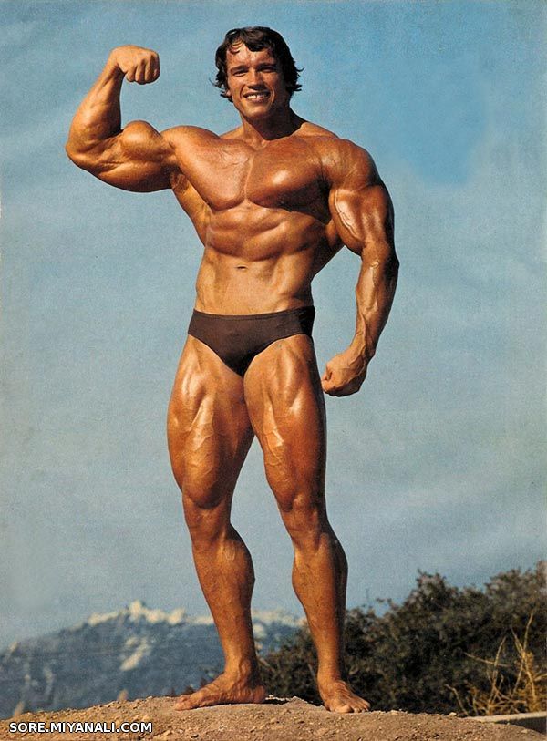 arnold