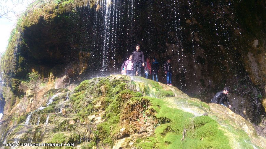 طبیعت به این میگن ...