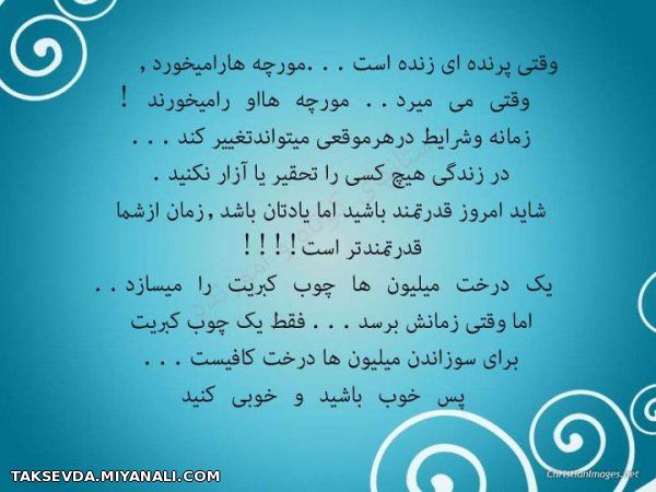 شعر4