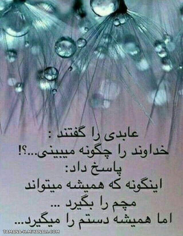 عابد