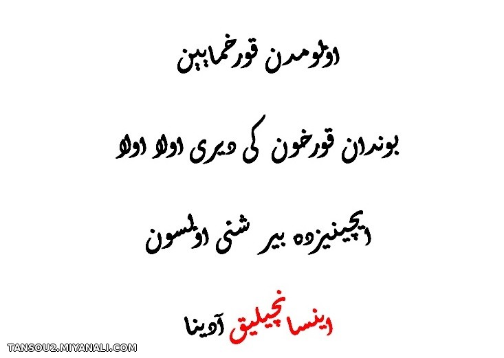 اینسانچیلیق