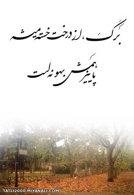 شعر زیبا