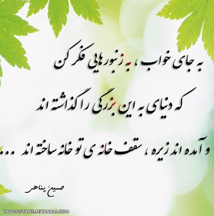 حسین پناهی