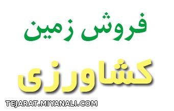 فروش زمین کشاورزی در شهر آچاچی