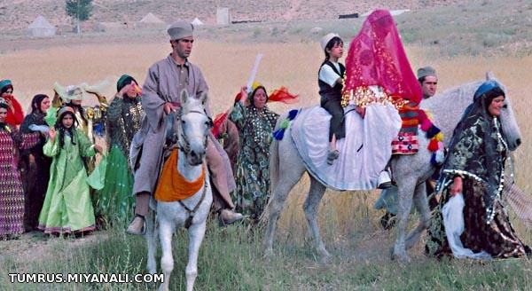 قشقایی تویو.