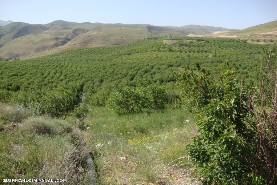 منظره زیبای توشمانلو