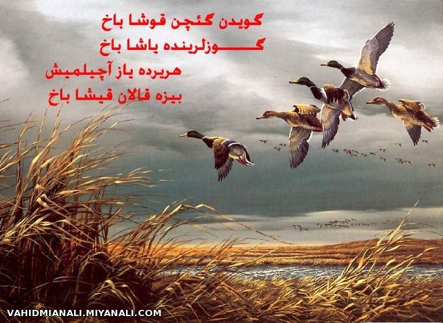 بایاتلار(آذری شعرلر اوخومالی)