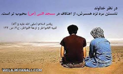 پروانه ها در مرداب