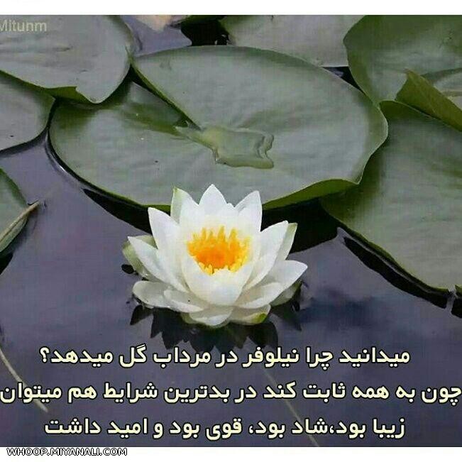 دریای او در جان ماست