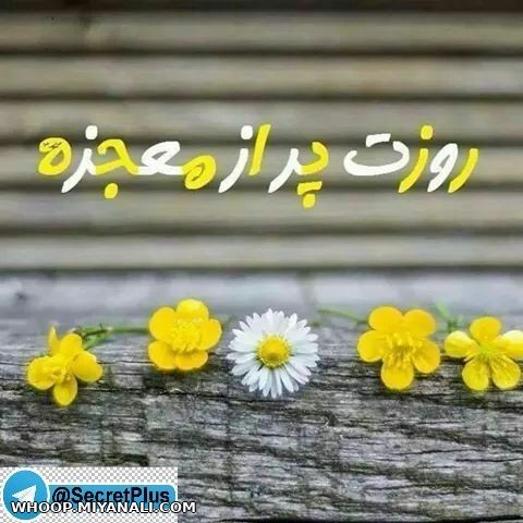 روز معجزه...