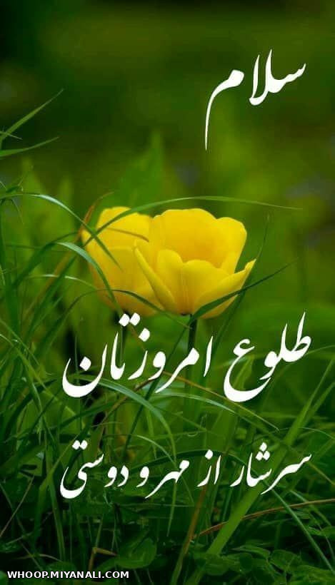 سلام،به بلندای خورشید