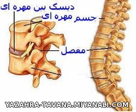 فیزیوتراپی ولیزردرمانی توانا