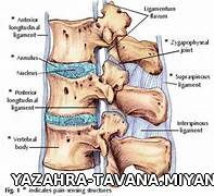 فیزیوتراپی ولیزردرمانی توانا