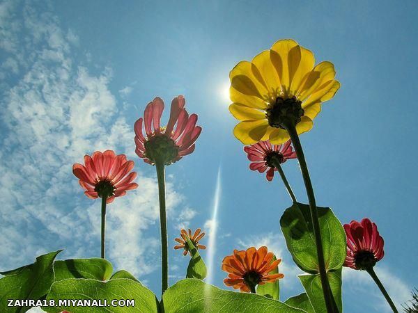 این ماله اونی که خودش میدونه وباهام قهره