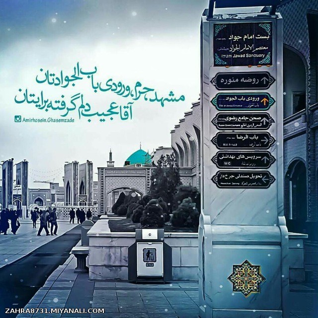 یا امام رضــــــــــــــــا