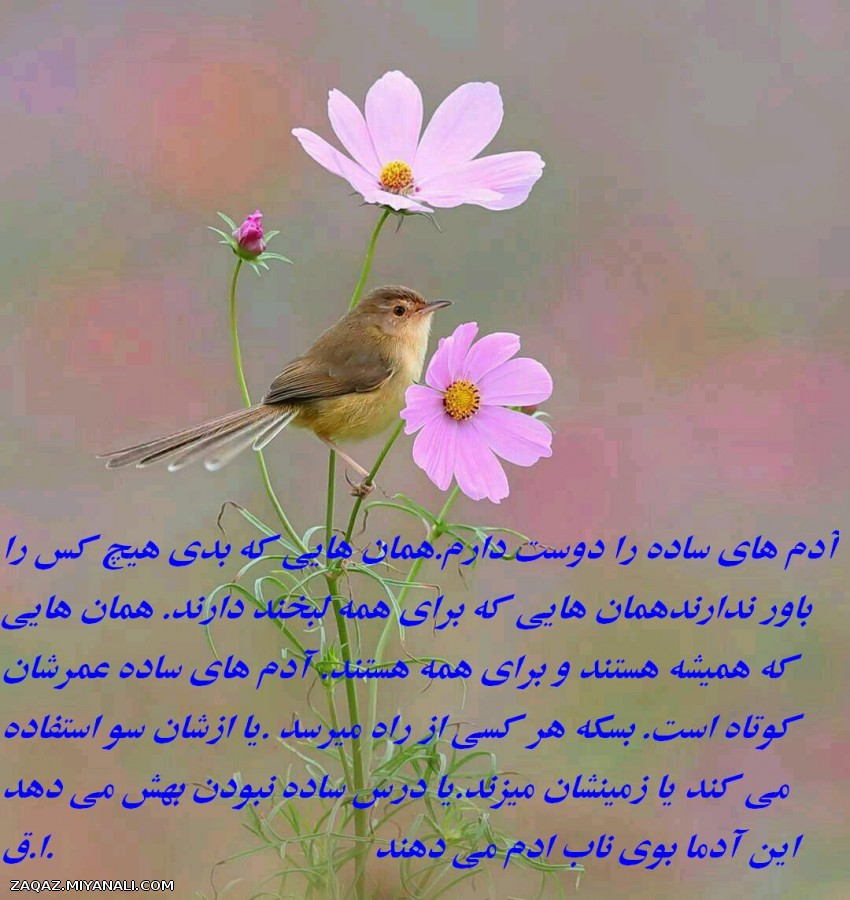 بوی ناب ادم میدهند