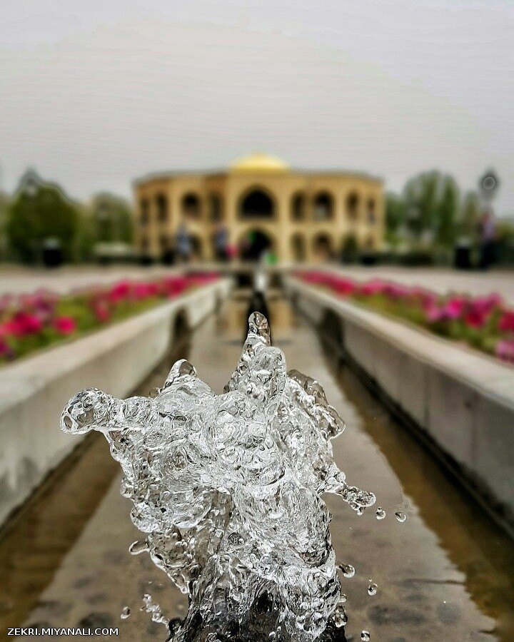 شاه گلی