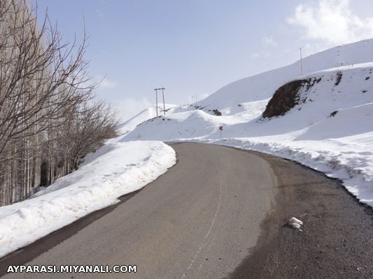 کسلانیم