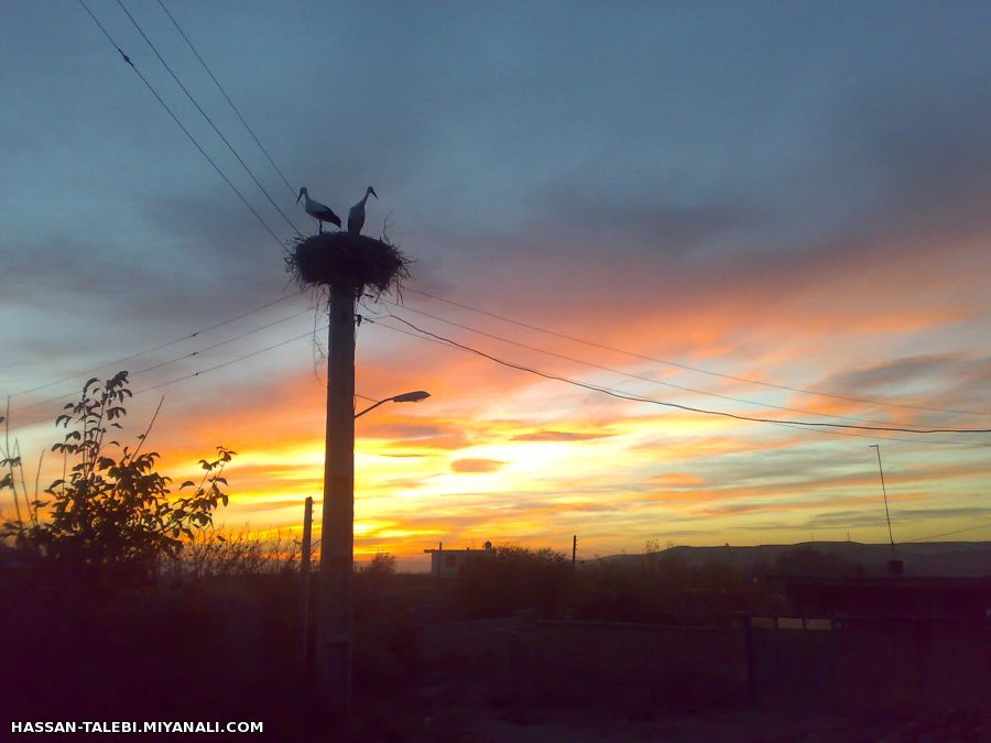 غوب در روستای النجارق