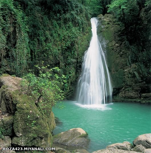 عکس گلستان