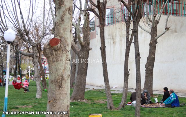 مردم میانه روز «سیزده بدر» را در دامان طبیعت گذراندند