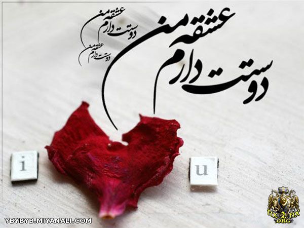 آرزو دارم شب عاشق شویی